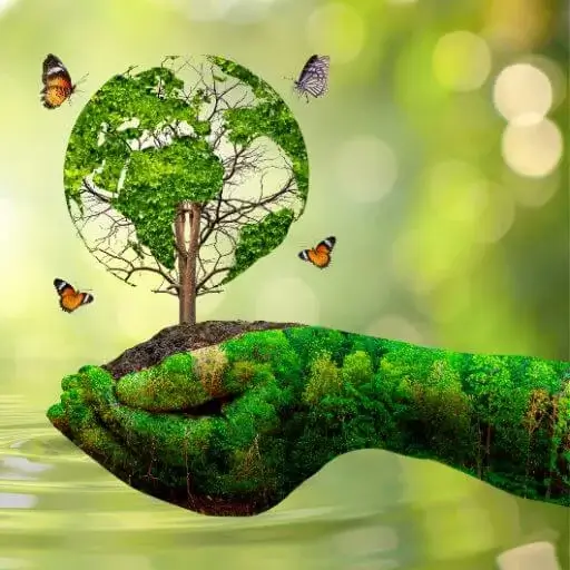 el respeto por las personas y el medio ambiente